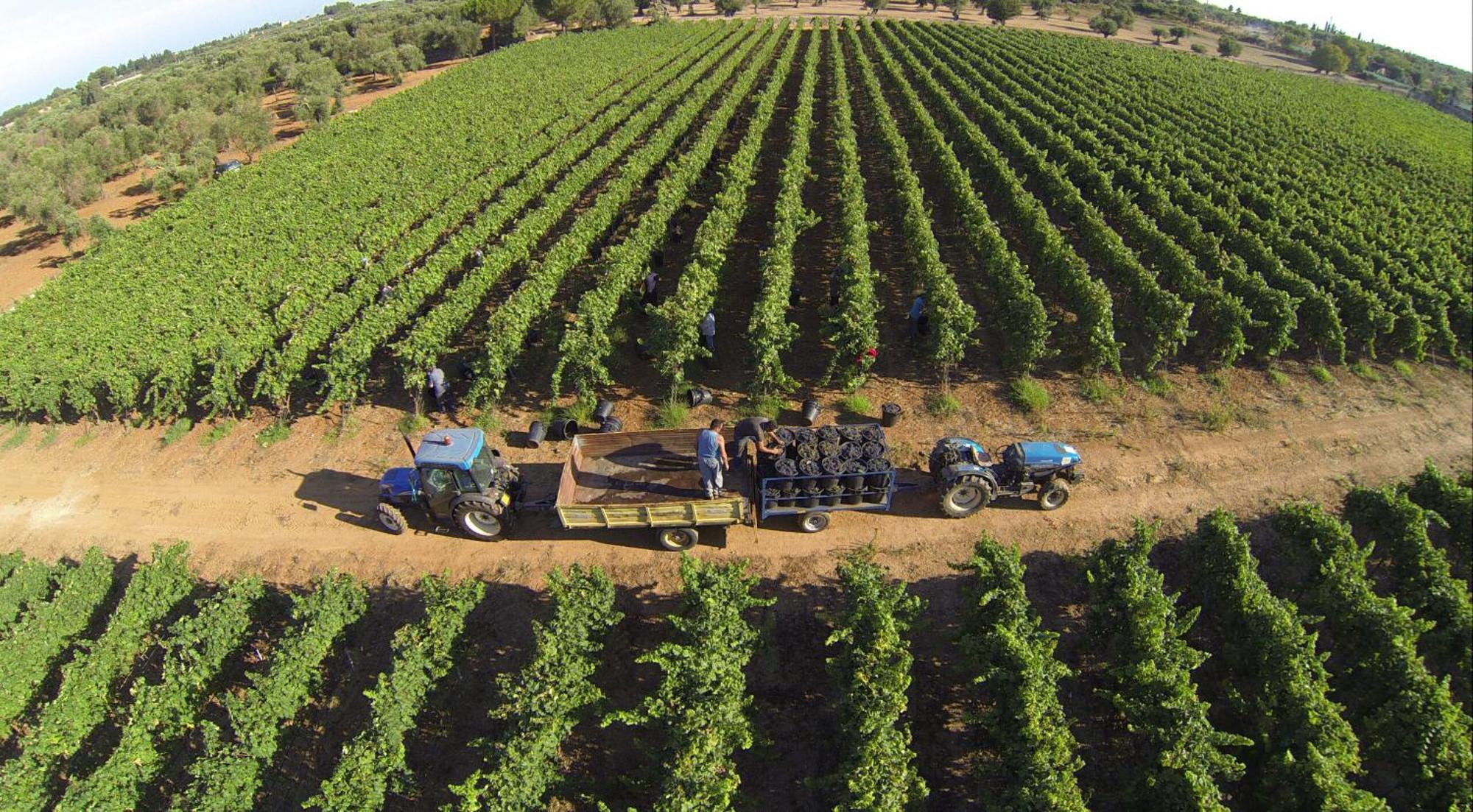Tenuta Doxi Gallipoli Exterior photo